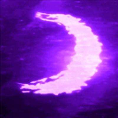 亚新下载手机版