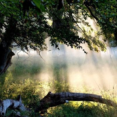 魅影快三app下载安装手机版