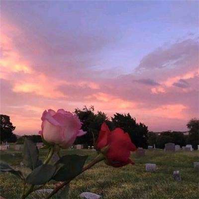 皇冠体育HG2022App