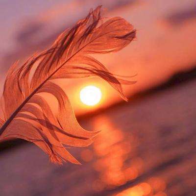 皇冠体育HG2022App