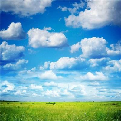 半岛官方下载入口