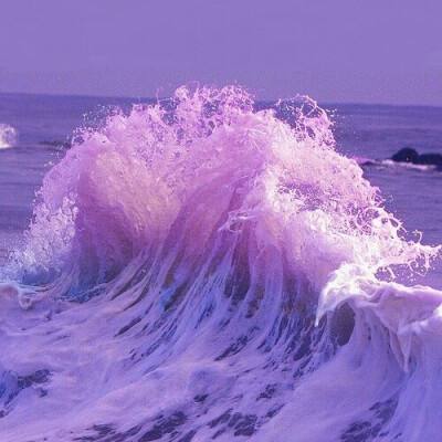 hth华体育(中国)官方入口app下载