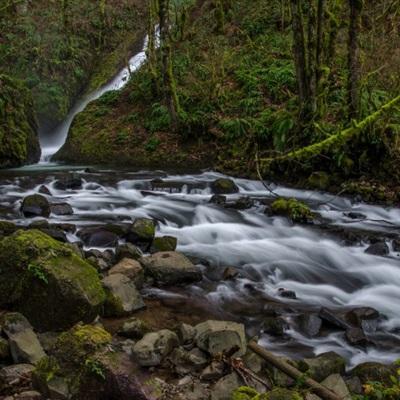 乐鱼app官网最新版下载截图
