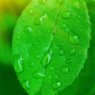 皇冠体育HG2022App