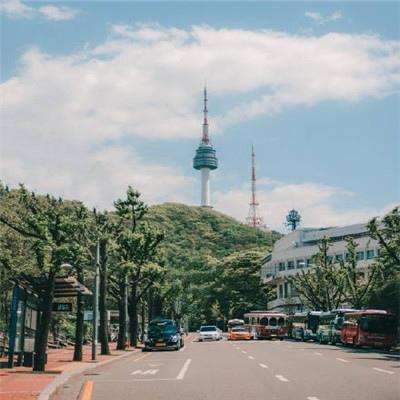 网络手机赌钱软件下载截图